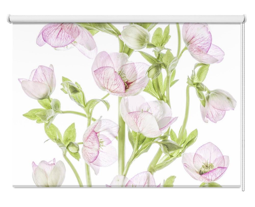Hellebore Printed Picture Photo Roller Blind - 1X2029847 - Art Fever - Art Fever