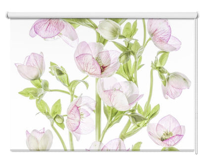 Hellebore Printed Picture Photo Roller Blind - 1X2029847 - Art Fever - Art Fever