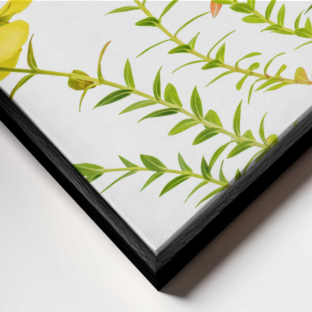 Hypericum Canvas Print Wall Art 1X1879754 - ART FEVER - Art Fever