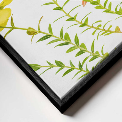 Hypericum Canvas Print Wall Art 1X1879754 - ART FEVER - Art Fever