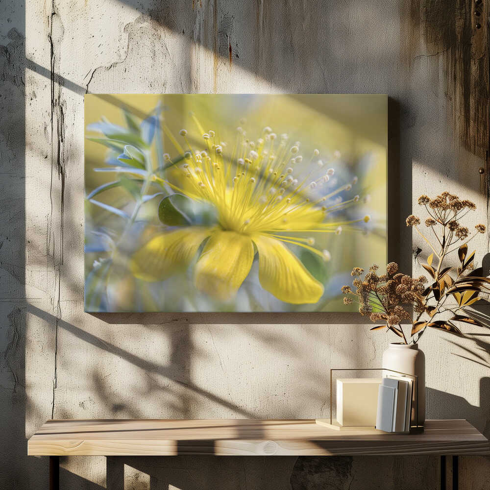 Hypericum Flower Canvas Print Wall Art 1X1599449 - ART FEVER - Art Fever
