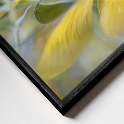 Hypericum Flower Canvas Print Wall Art 1X1599449 - ART FEVER - Art Fever