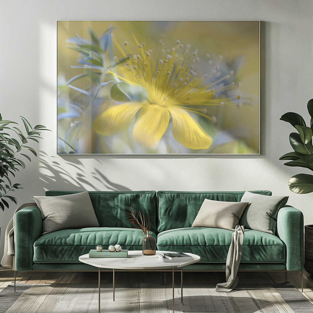 Hypericum Flower Canvas Print Wall Art 1X1599449 - ART FEVER - Art Fever