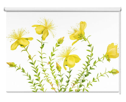 Hypericum Printed Picture Photo Roller Blind - 1X1879754 - Art Fever - Art Fever