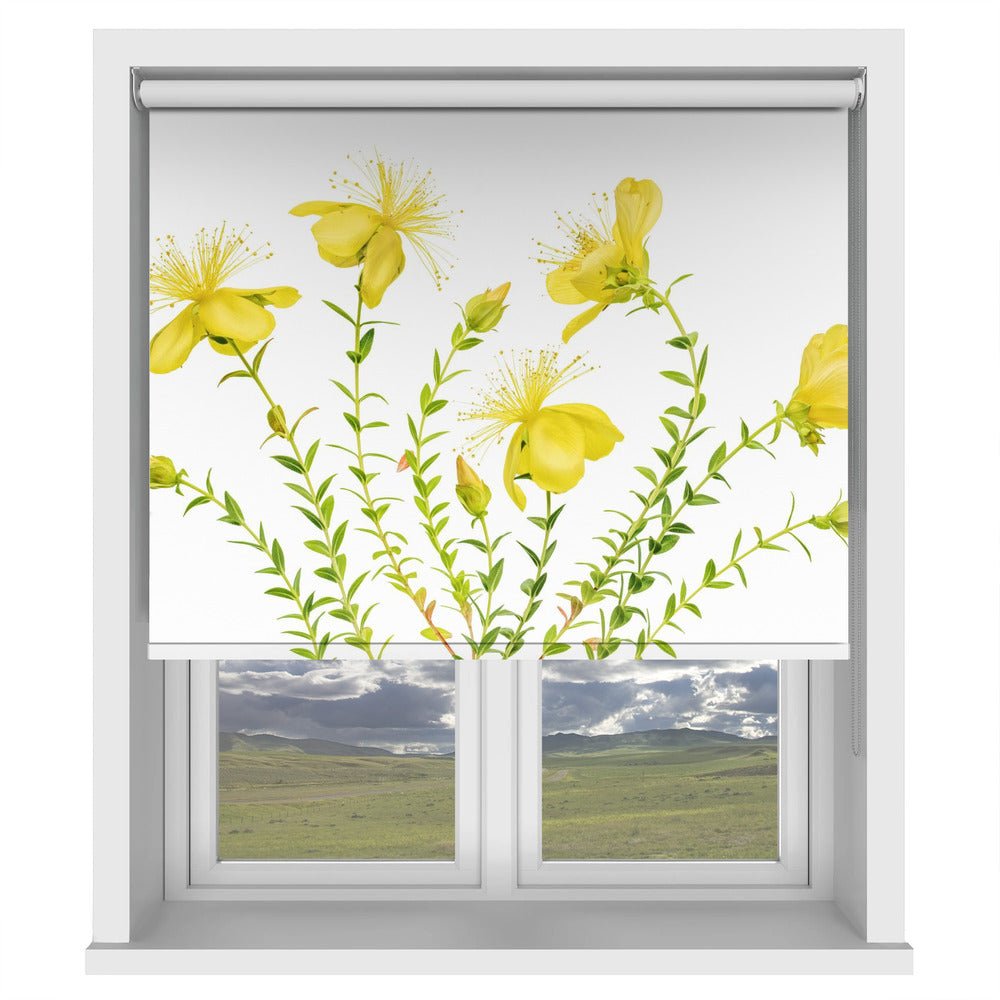 Hypericum Printed Picture Photo Roller Blind - 1X1879754 - Art Fever - Art Fever