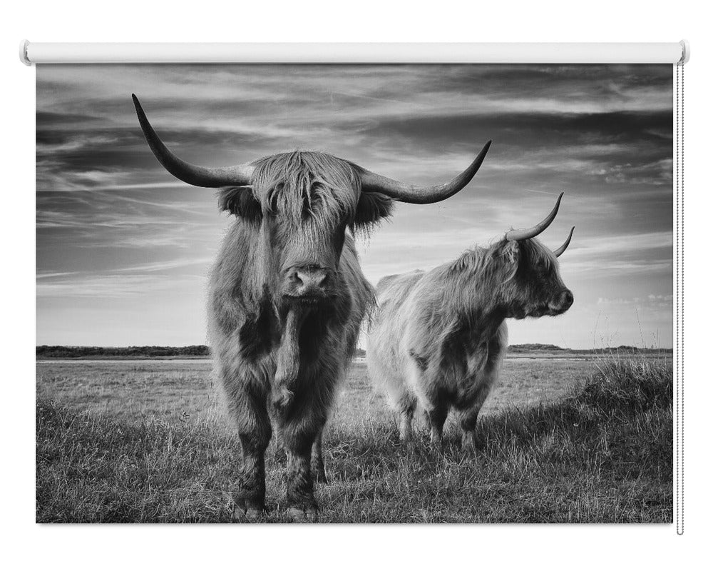 I am the boss The Highland Cow Printed Picture Photo Roller Blind - 1X2193359 - Pictufy - Art Fever