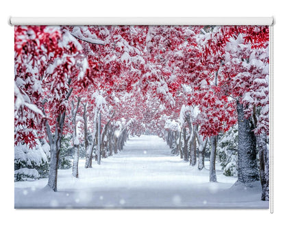 Winter Snow over the Japanese Maple Printed Picture Photo Roller Blind - 1X1951569