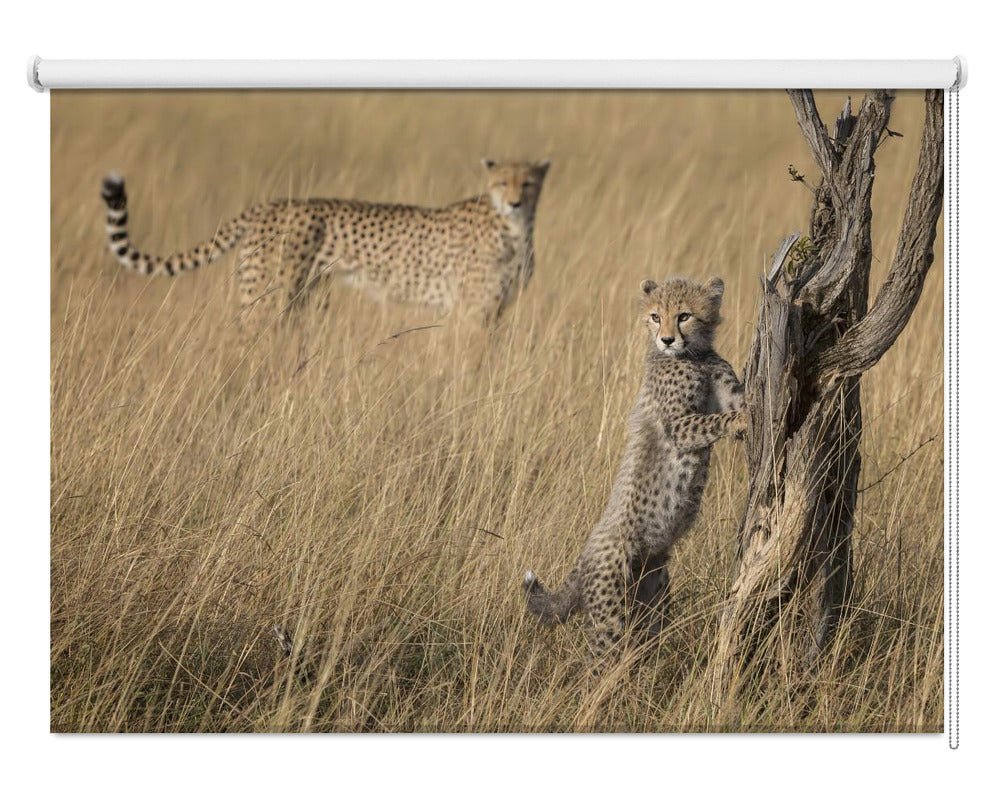 I've Got it Mum - Cheetah Family in the Savannah Printed Picture Photo Roller Blind - 1X1622397 - Art Fever - Art Fever