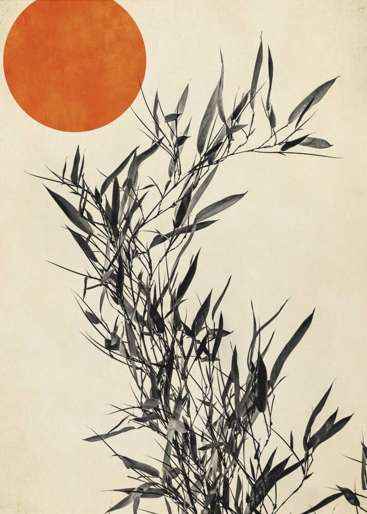 Japanese Birch Canvas Print Wall Art 1X2533828 - ART FEVER - Art Fever