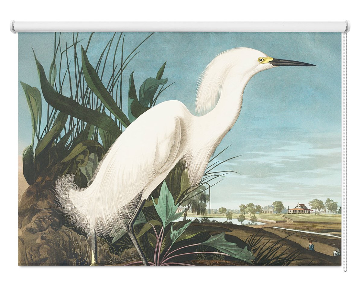 John James Audubon Snowy Heron, White Egret Printed Picture Photo Roller Blind - RB1413 - Art Fever - Art Fever