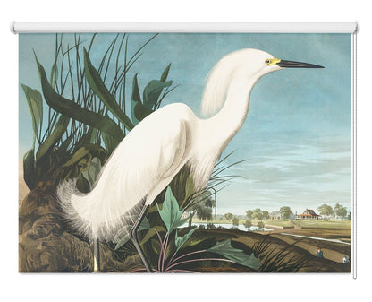 John James Audubon Snowy Heron, White Egret Printed Picture Photo Roller Blind - RB1413 - Art Fever - Art Fever