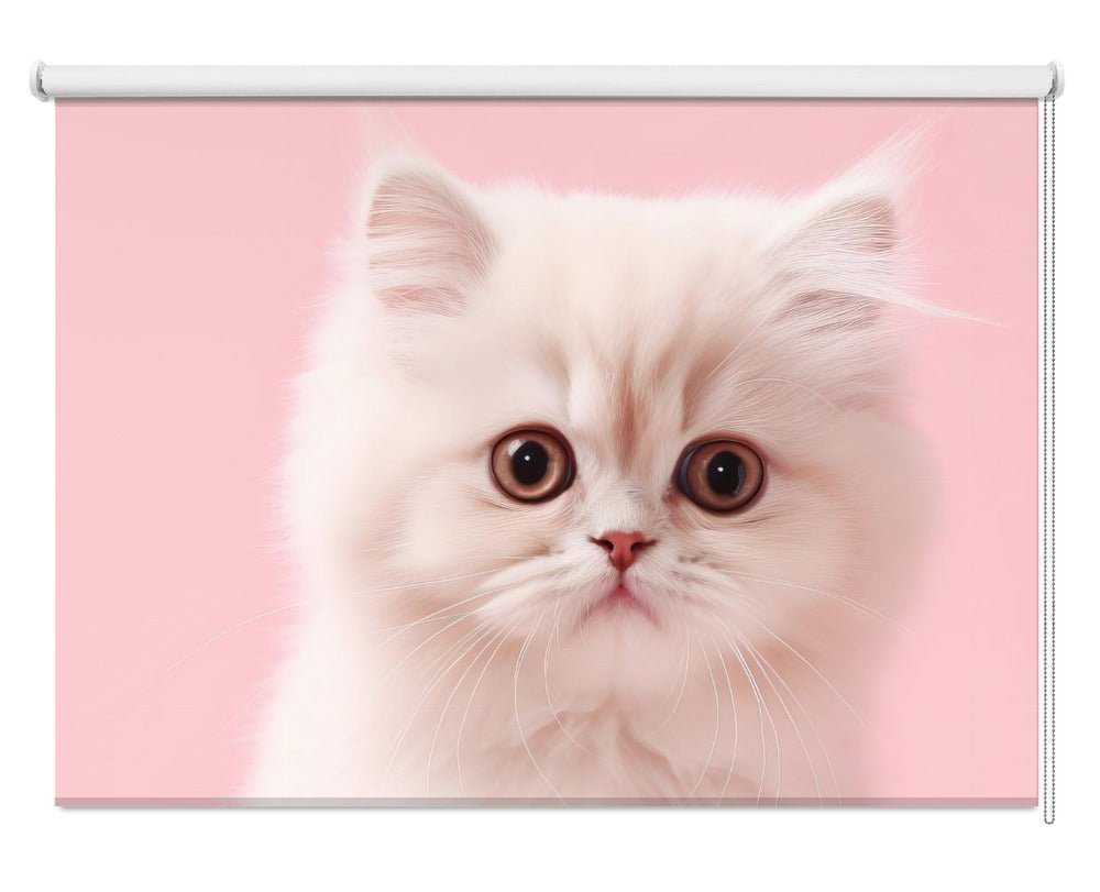 Kitty 4 Printed Picture Photo Roller Blind - 1X2609499 - Art Fever - Art Fever