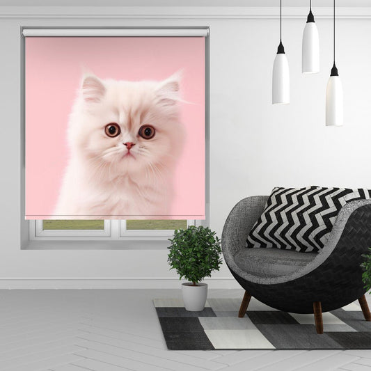 Kitty 4 Printed Picture Photo Roller Blind - 1X2609499 - Art Fever - Art Fever