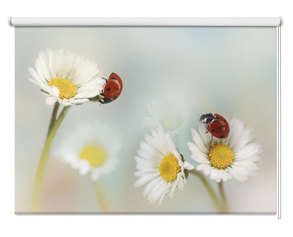 Ladybirds at Springtime Floral Printed Picture Photo Roller Blind - 1X1834084 - Art Fever - Art Fever