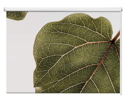 Leaf Vein Tapestry Printed Picture Photo Roller Blind - 1X2518297 - Art Fever - Art Fever