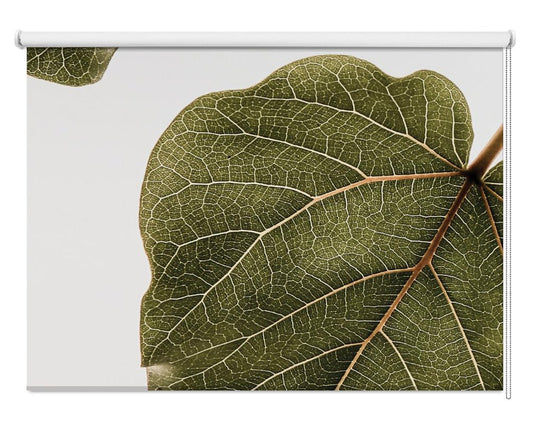 Leaf Vein Tapestry Printed Picture Photo Roller Blind - 1X2518297 - Art Fever - Art Fever