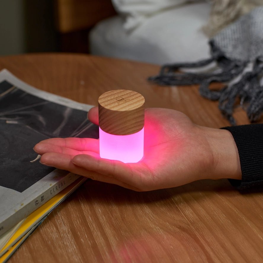 Lemelia Light by Gingko Design - Art Fever - Art Fever