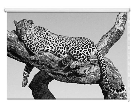 Leopard hanging out Printed Picture Photo Roller Blind - 1X2699569 - Pictufy - Art Fever