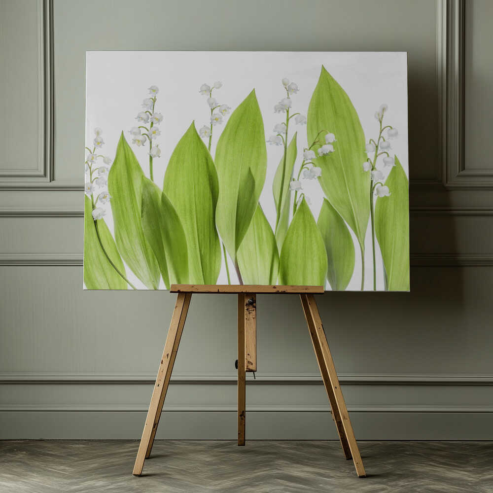 Lily of the valley Canvas Print Wall Art 1X1331500 - ART FEVER - Art Fever