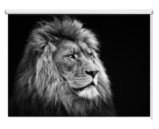 Lion Black & White Close Up Printed Picture Photo Roller Blind - 1X2802682 - Art Fever - Art Fever