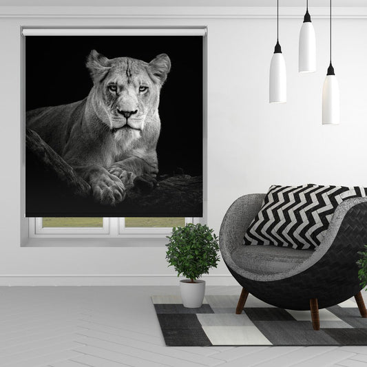 Lioness Close Up Printed Picture Photo Roller Blind - 1X2795806 - Art Fever - Art Fever