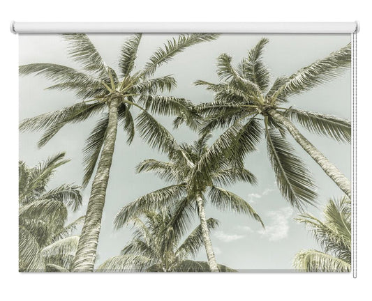 Lovely Vintage Palm Trees Printed Picture Photo Roller Blind - 1X2727838 - Art Fever - Art Fever