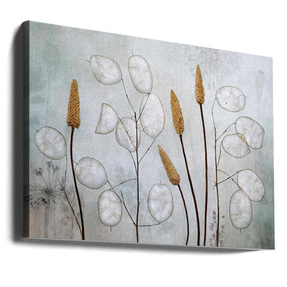 Lunaria Canvas Print Wall Art 1X1037879 - ART FEVER - Art Fever