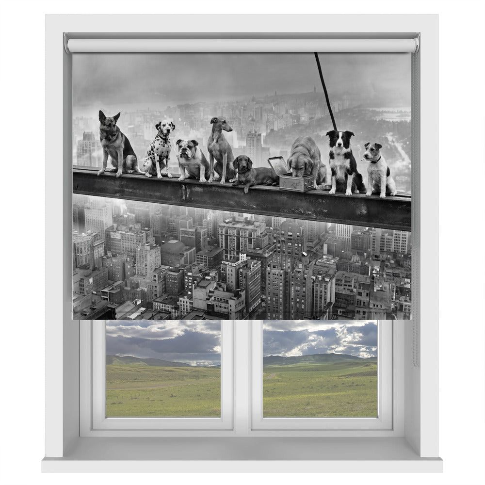 Lunch Atop a Skyscraper - Dog Edition Printed Picture Photo Roller Blind - 1X3432396 - Art Fever - Art Fever
