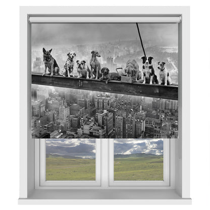 Lunch Atop a Skyscraper - Dog Edition Printed Picture Photo Roller Blind - 1X3432396 - Art Fever - Art Fever