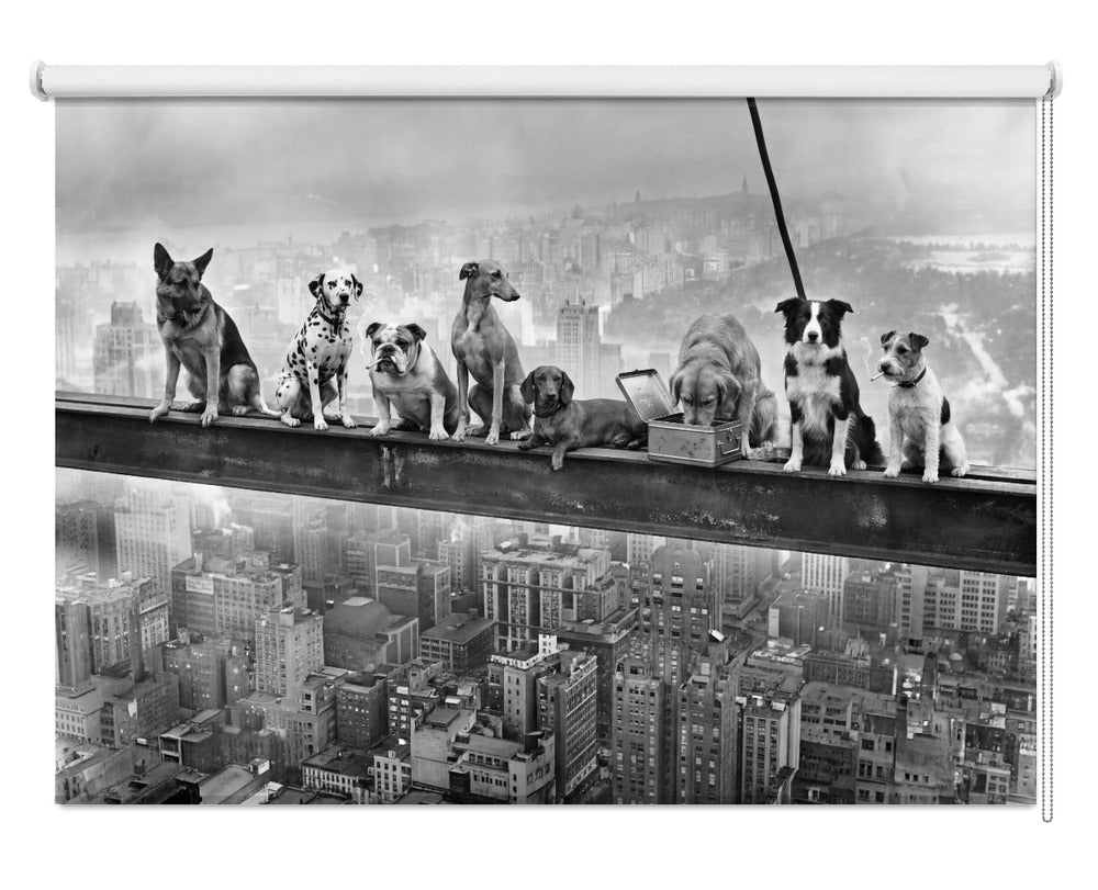 Lunch Atop a Skyscraper - Dog Edition Printed Picture Photo Roller Blind - 1X3432396 - Art Fever - Art Fever