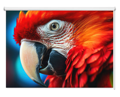 Macaw Parrot Image Printed Roller Blind - RB813 - Art Fever - Art Fever