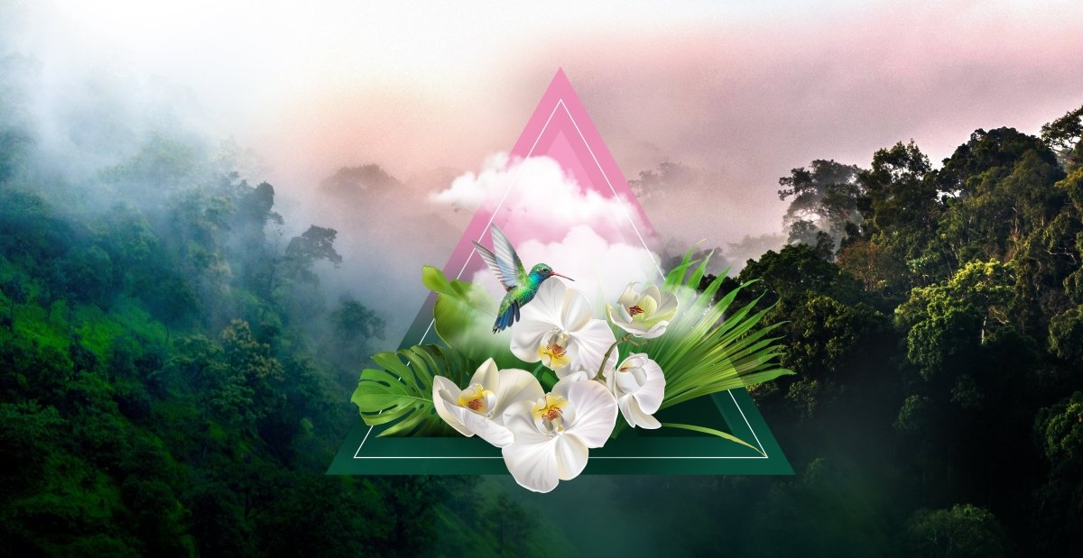 Monteverde Fragrance Oil - LORDS Fragrance House - Art Fever