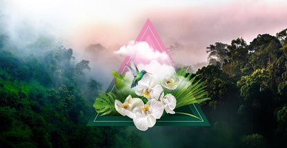 Monteverde Fragrance Oil - LORDS Fragrance House - Art Fever