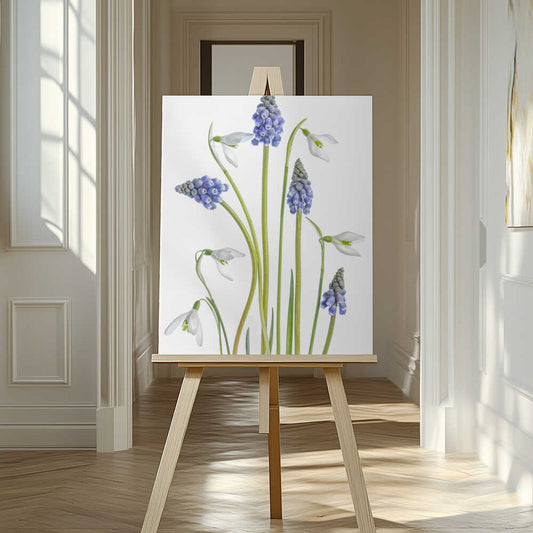 Muscari and Galanthus Canvas Print Wall Art 1X1119923 - ART FEVER - Art Fever