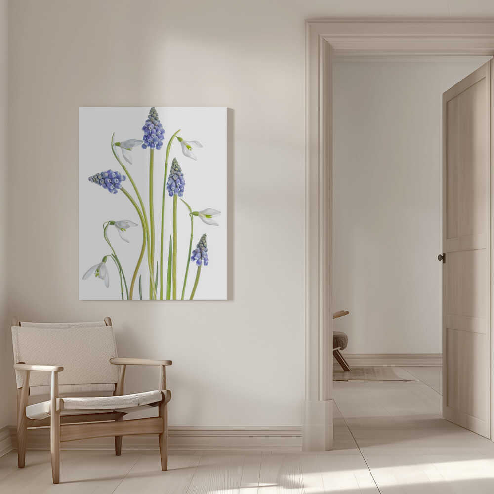 Muscari and Galanthus Canvas Print Wall Art 1X1119923 - ART FEVER - Art Fever