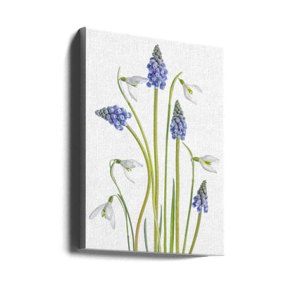 Muscari and Galanthus Canvas Print Wall Art 1X1119923 - ART FEVER - Art Fever