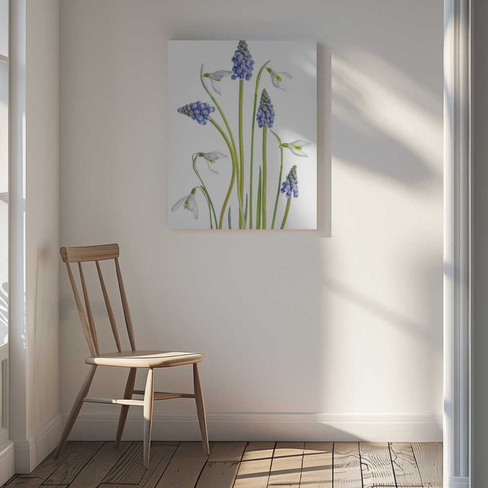 Muscari and Galanthus Canvas Print Wall Art 1X1119923 - ART FEVER - Art Fever