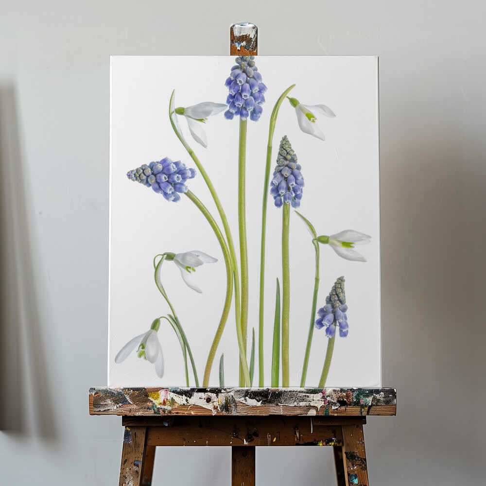 Muscari and Galanthus Canvas Print Wall Art 1X1119923 - ART FEVER - Art Fever