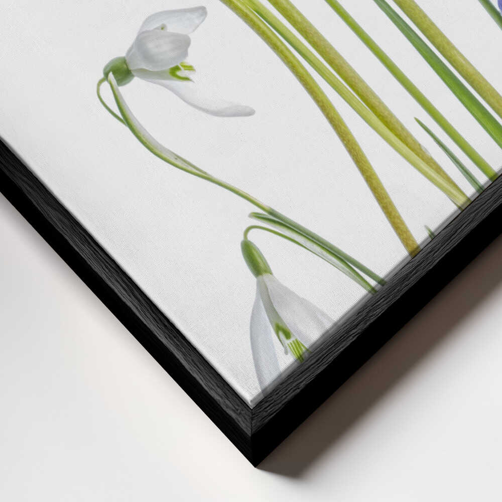 Muscari and Galanthus Canvas Print Wall Art 1X1119923 - ART FEVER - Art Fever