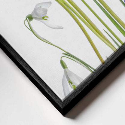 Muscari and Galanthus Canvas Print Wall Art 1X1119923 - ART FEVER - Art Fever