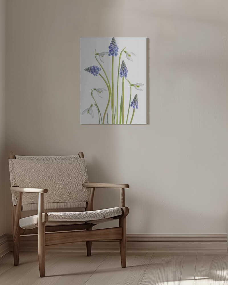 Muscari and Galanthus Canvas Print Wall Art 1X1119923 - ART FEVER - Art Fever