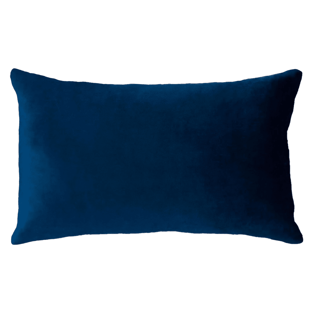 Netflix & Chill Needlepoint Cushion - The Pillow Drop - Art Fever