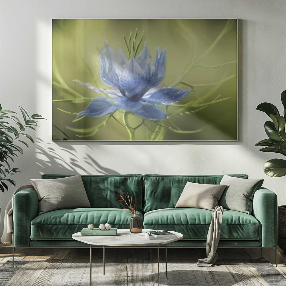 Nigella Canvas Print Wall Art 1X56246 - ART FEVER - Art Fever