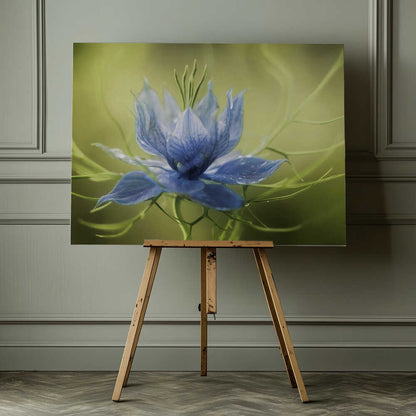 Nigella Canvas Print Wall Art 1X56246 - ART FEVER - Art Fever