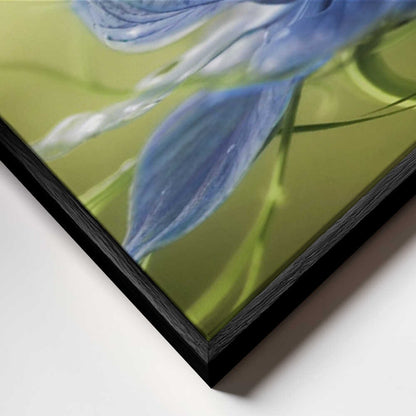 Nigella Canvas Print Wall Art 1X56246 - ART FEVER - Art Fever