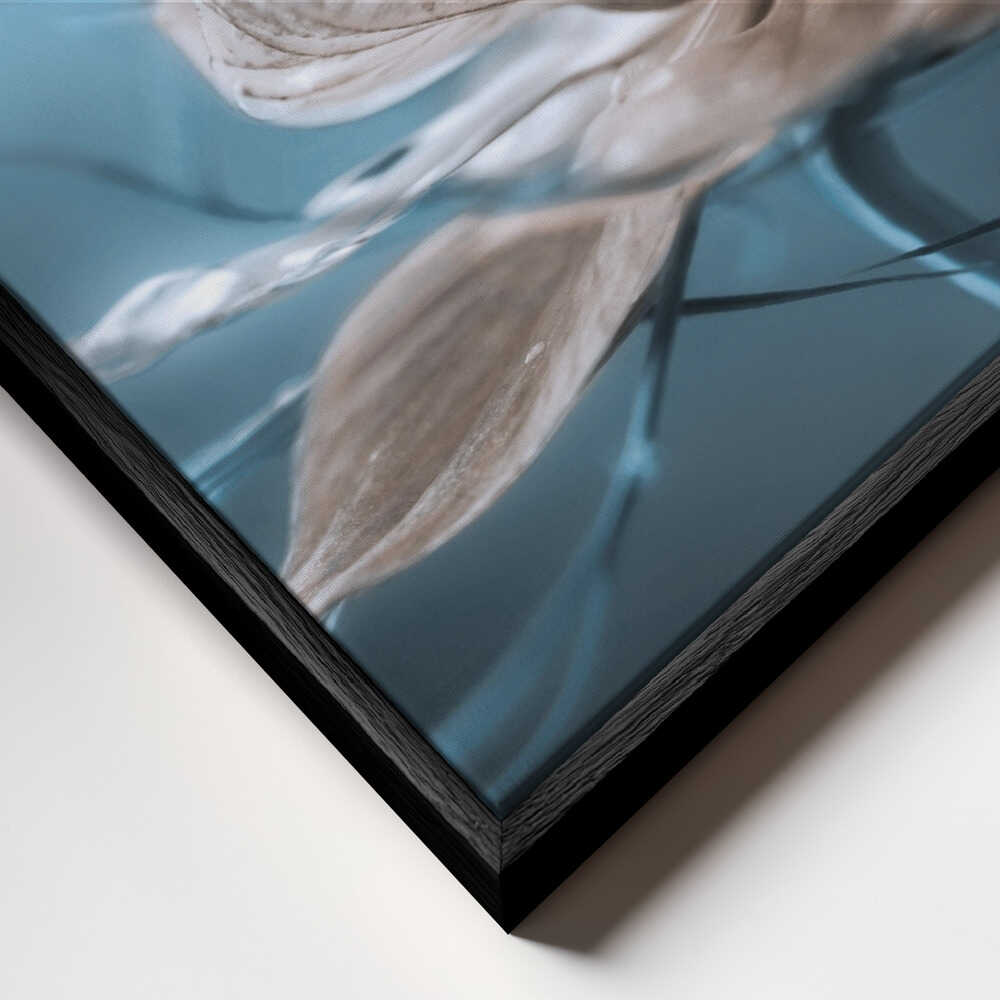 Nigella Floral Art Canvas Print Wall Art 1X631070 - ART FEVER - Art Fever