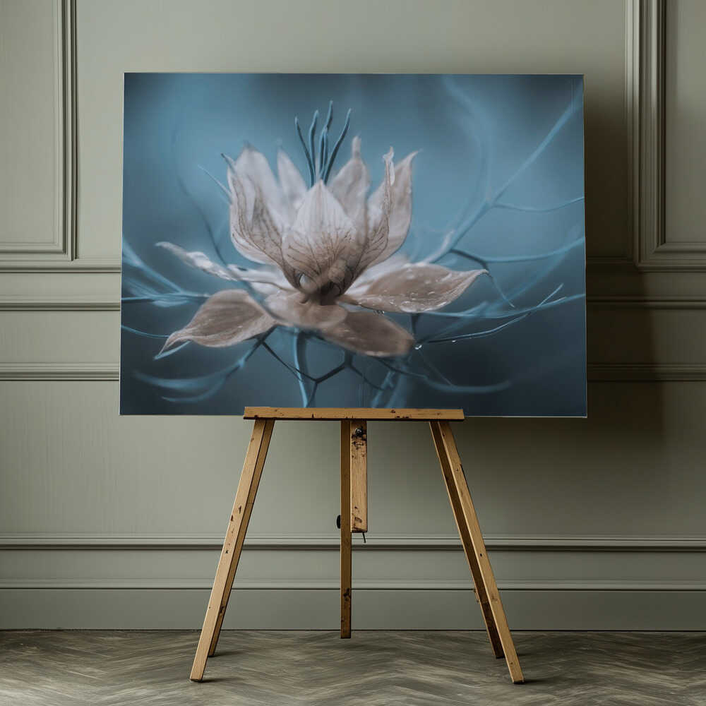 Nigella Floral Art Canvas Print Wall Art 1X631070 - ART FEVER - Art Fever
