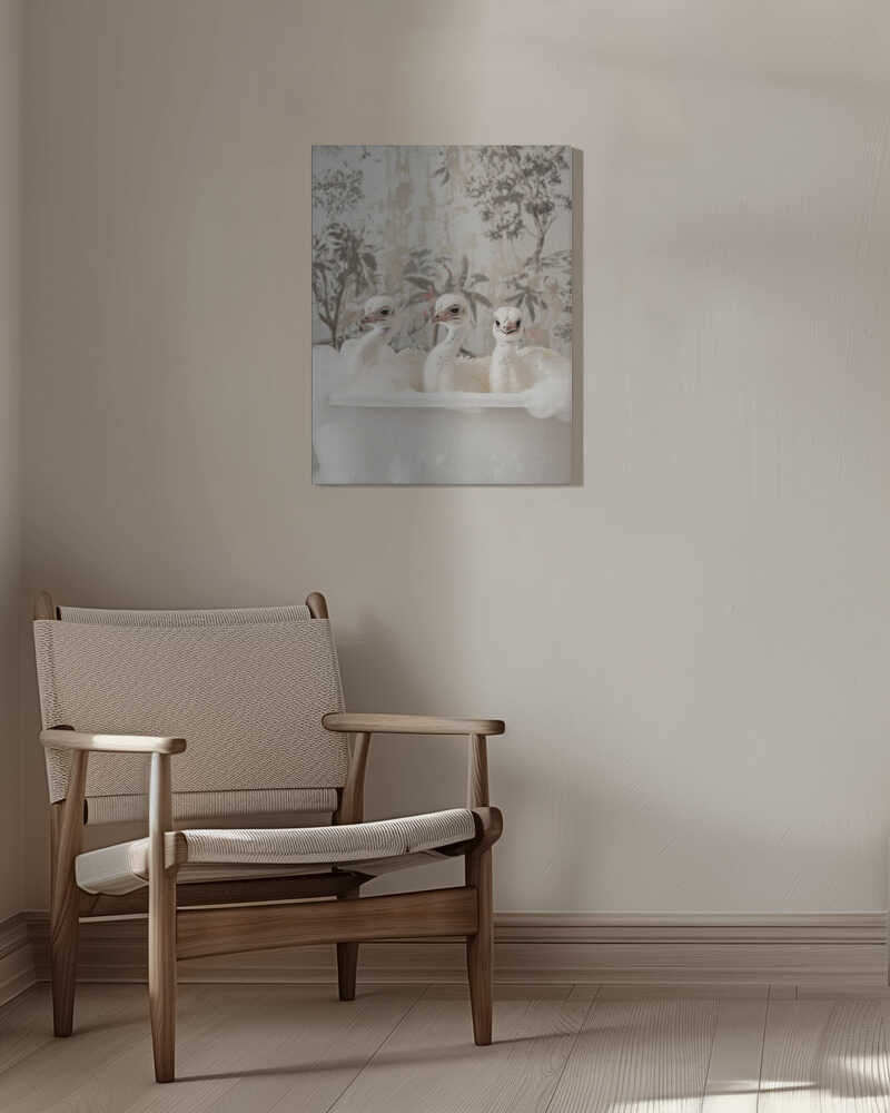 Ostrich Bath Time Delight Canvas Print Wall Art 1X3062975 - ART FEVER - Art Fever