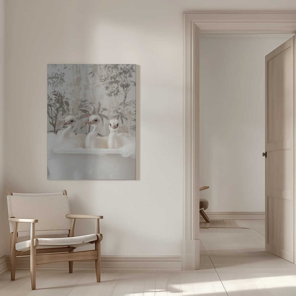 Ostrich Bath Time Delight Canvas Print Wall Art 1X3062975 - ART FEVER - Art Fever