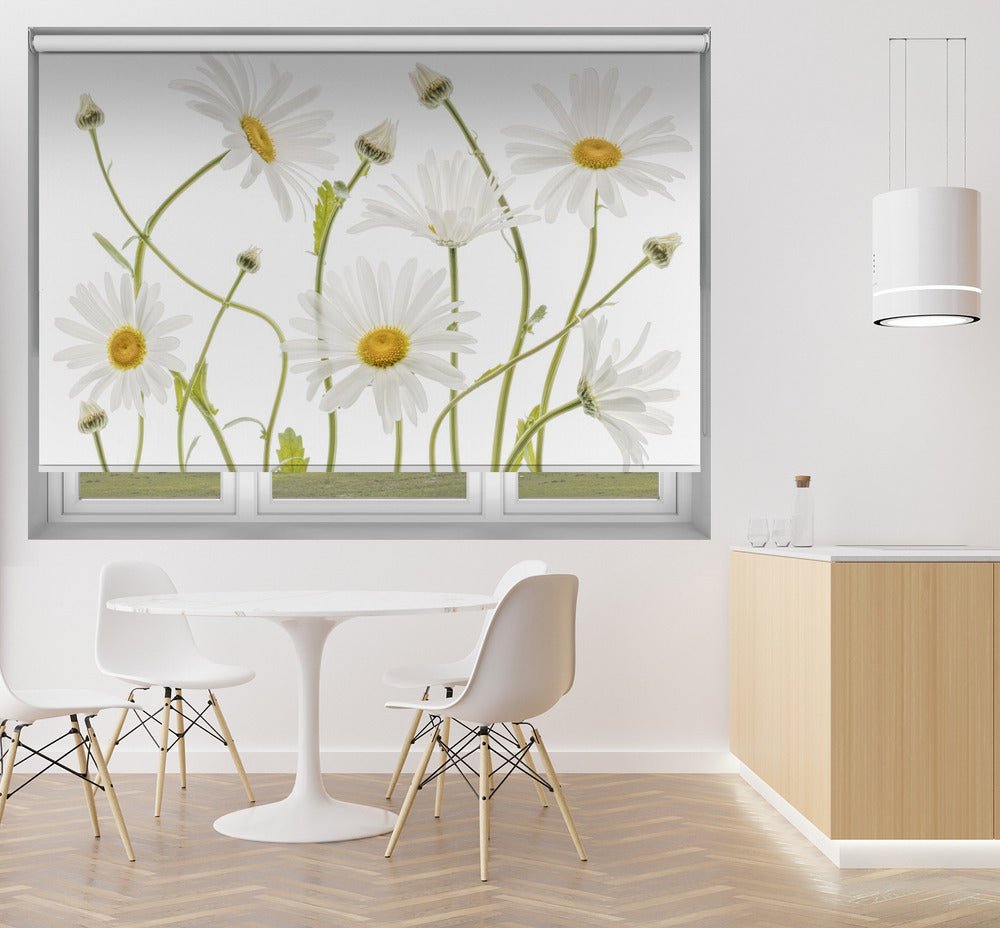 Ox eye Daisies Printed Picture Photo Roller Blind - 1X1144981 - Art Fever - Art Fever